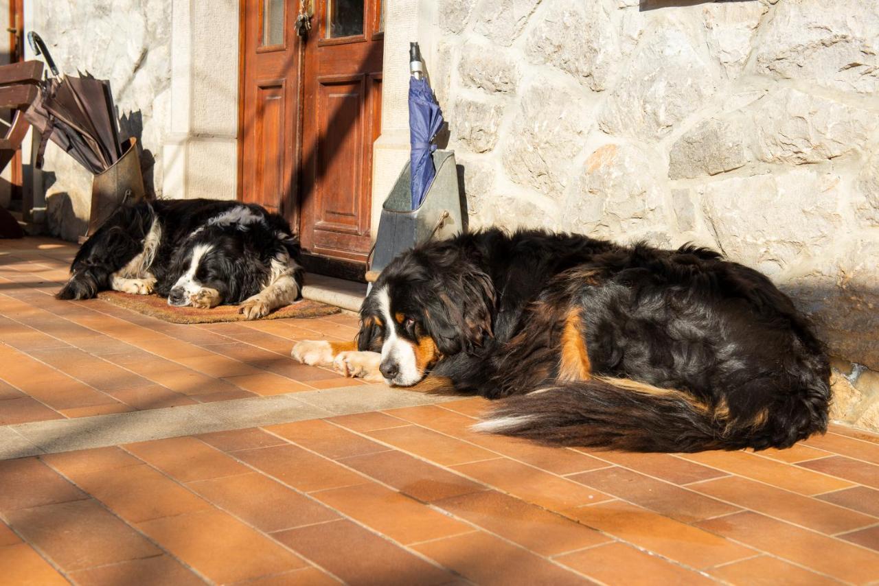 Vila Tourist Farm Skerlj Dutovlje Exteriér fotografie